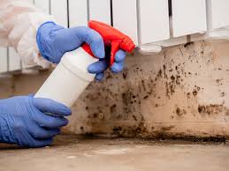 Best Emergency Mold Remediation  in Sedalia, MO